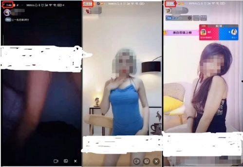 成人系列视频素材网,海量资源，创意无限