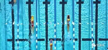 成人怎样练好字方法视频,跟随视频轻松提升书写技巧