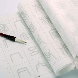 成人简易练字法视频教程,轻松掌握书法艺术的入门秘诀