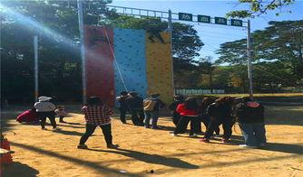 野炊成人娱乐视频