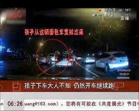 成人车乘车开车视频播放,成人车乘车驾驶视频深度解析